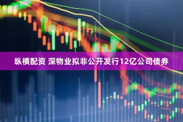 纵横配资 深物业拟非公开发行12亿公司债券