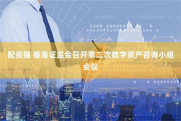 配资猫 香港证监会召开第二次数字资产咨询小组会议