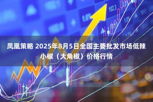 凤凰策略 2025年8月5日全国主要批发市场低辣小椒（大角椒）价格行情