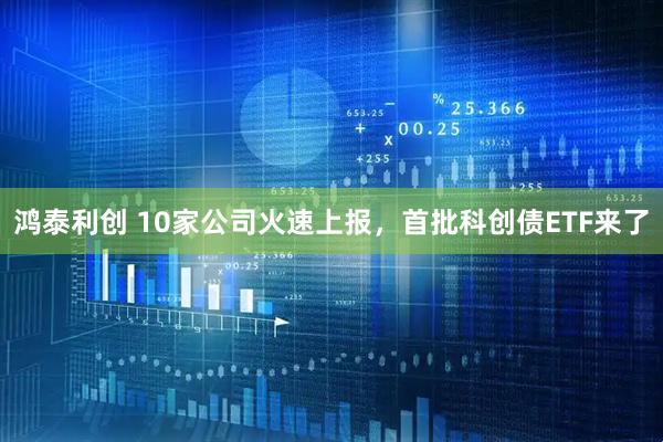 鸿泰利创 10家公司火速上报，首批科创债ETF来了