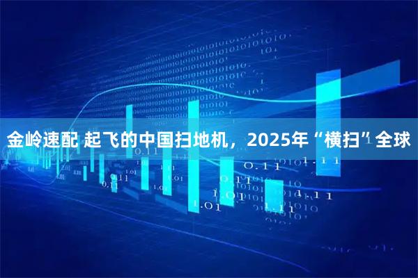 金岭速配 起飞的中国扫地机，2025年“横扫”全球
