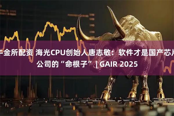 牛金所配资 海光CPU创始人唐志敏：软件才是国产芯片公司的“命根子” | GAIR 2025