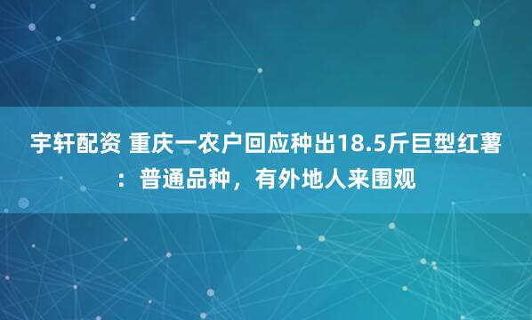 宇轩配资 重庆一农户回应种出18.5斤巨型红薯：普通品种，有外地人来围观