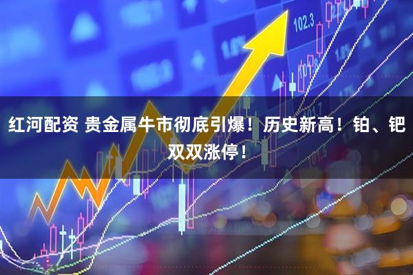 红河配资 贵金属牛市彻底引爆！历史新高！铂、钯双双涨停！