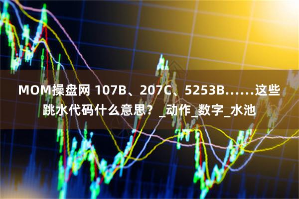 MOM操盘网 107B、207C、5253B……这些跳水代码什么意思？_动作_数字_水池